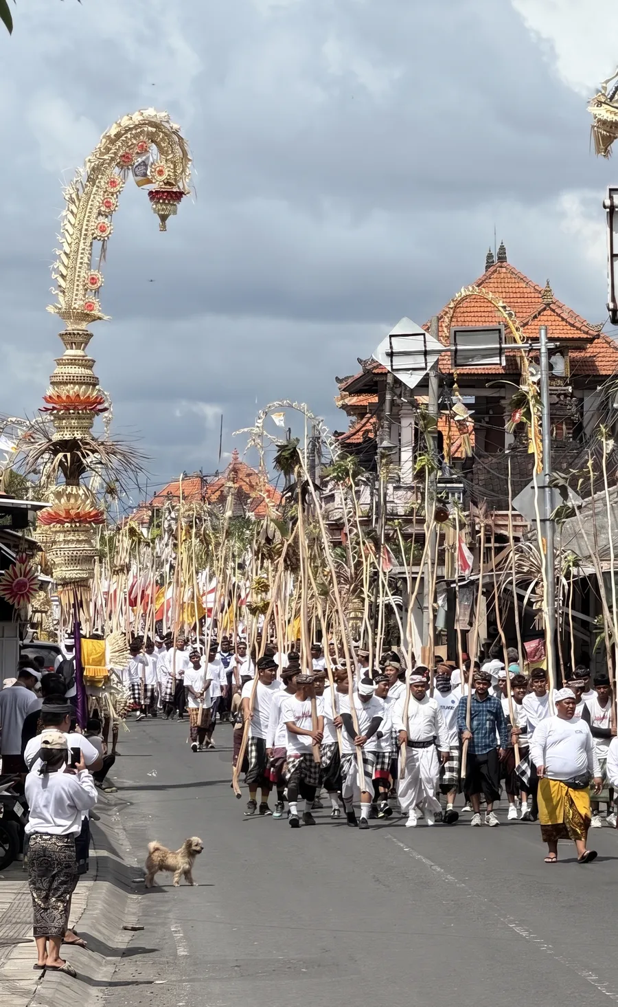 Mekotek ceremony near Munggu, Bali